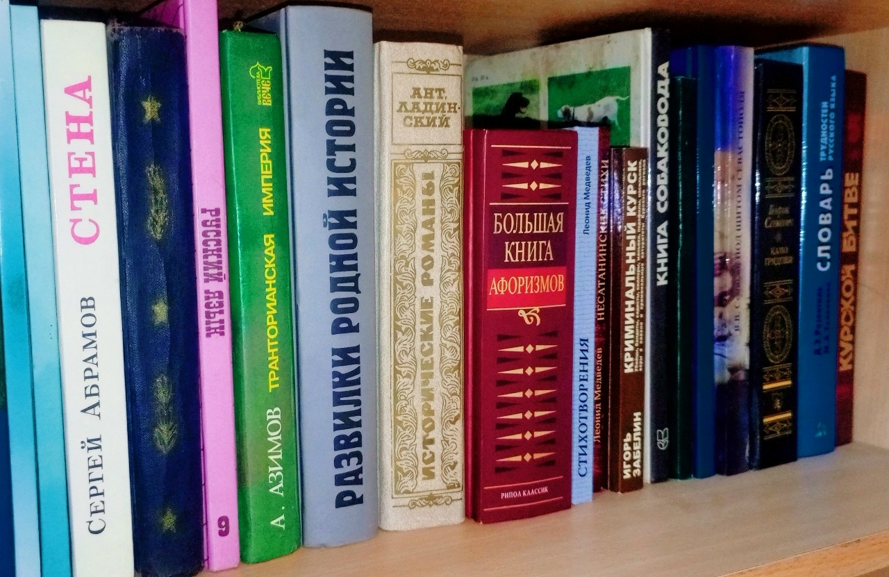 Курских новников призвали пополнить шкафы для уличного книгообмена
