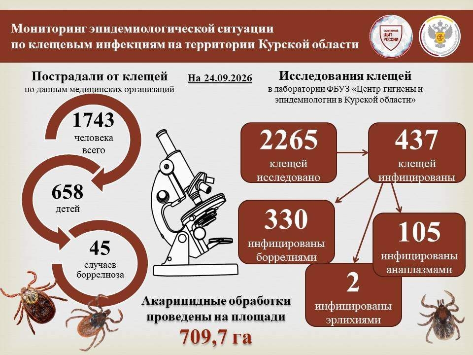 В Курской области зафиксировано 45 случаев клещевого боррелиоза